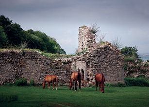 Quarr Abbey